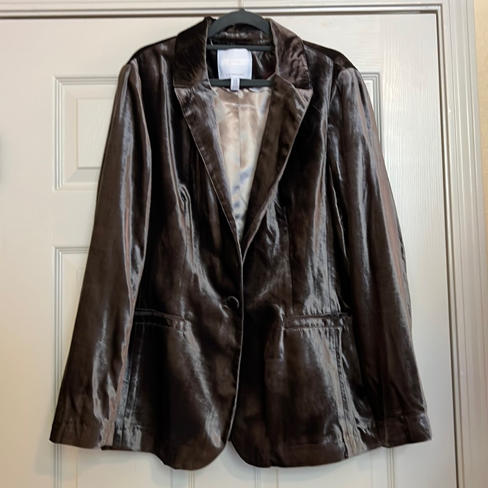 Silver Gray Velvet Blazer Size 14